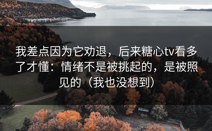 我差点因为它劝退，后来糖心tv看多了才懂：情绪不是被挑起的，是被照见的（我也没想到）