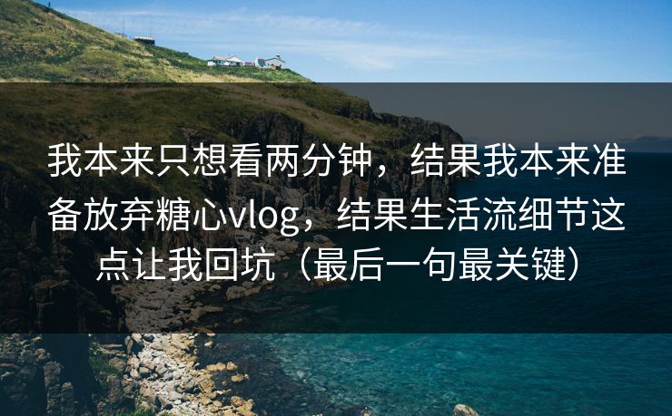 我本来只想看两分钟，结果我本来准备放弃糖心vlog，结果生活流细节这点让我回坑（最后一句最关键）