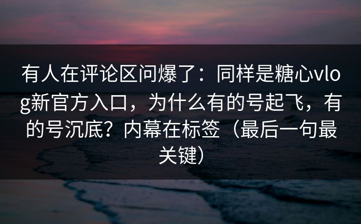 有人在评论区问爆了：同样是糖心vlog新官方入口，为什么有的号起飞，有的号沉底？内幕在标签（最后一句最关键）