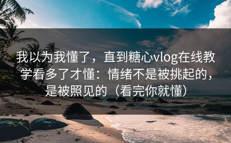 我以为我懂了，直到糖心vlog在线教学看多了才懂：情绪不是被挑起的，是被照见的（看完你就懂）