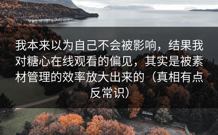 我本来以为自己不会被影响，结果我对糖心在线观看的偏见，其实是被素材管理的效率放大出来的（真相有点反常识）