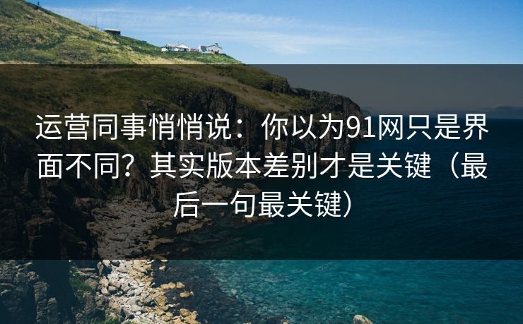 运营同事悄悄说：你以为91网只是界面不同？其实版本差别才是关键（最后一句最关键）